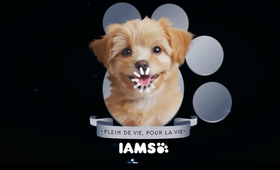 Devenez réalisateur : La marque IAMSMC lance les « Studios Je Veux un Chiot/Chaton » propulsés par l’IA Devenez réalisateur : La marque IAMSMC lance les « Studios Je Veux un Chiot/Chaton » propulsés par l’IA