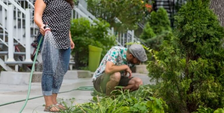 Jardiner en ville : guide pour créer son jardin écologique sur balcon ou terrasse
