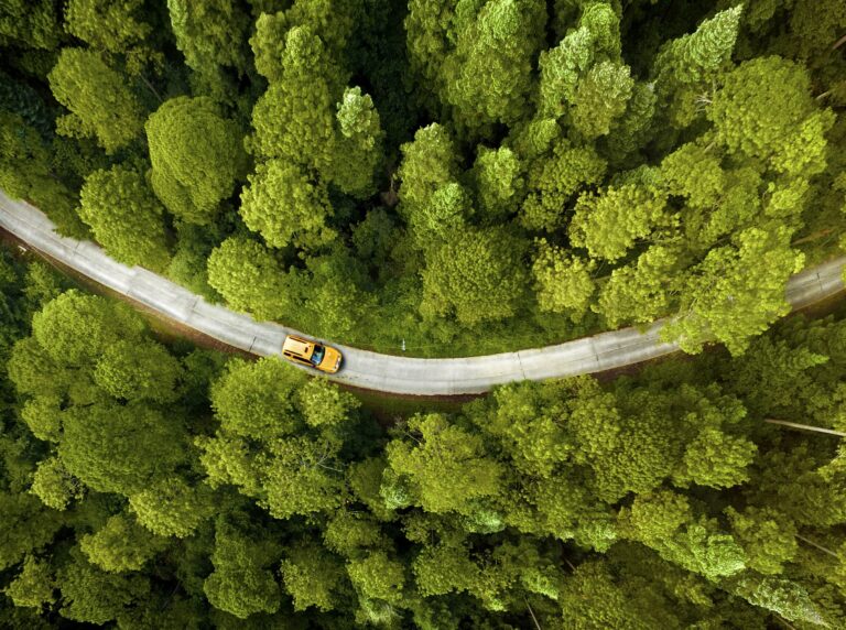 IBM et Polytechnique Montréal unissent leurs forces pour verdir la chaîne d’approvisionnement forestière