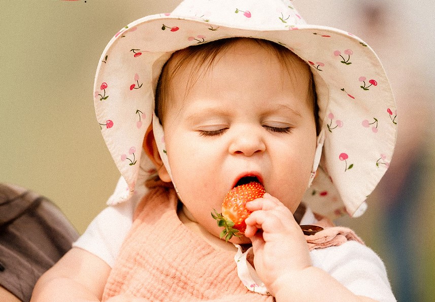 Les premières fraises du Québec arrivent sur les tablettes Les premières fraises du Québec arrivent sur les tablettes
