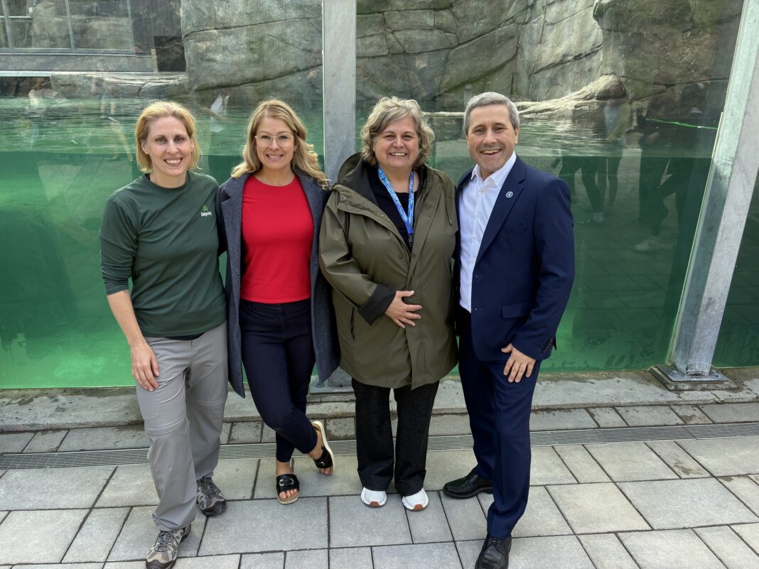 Des loutres de mer arrivent à l’Aquarium du Québec après un réaménagement de 20,9 millions de dollars Des loutres de mer arrivent à l’Aquarium du Québec après un réaménagement de 20,9 millions de dollars